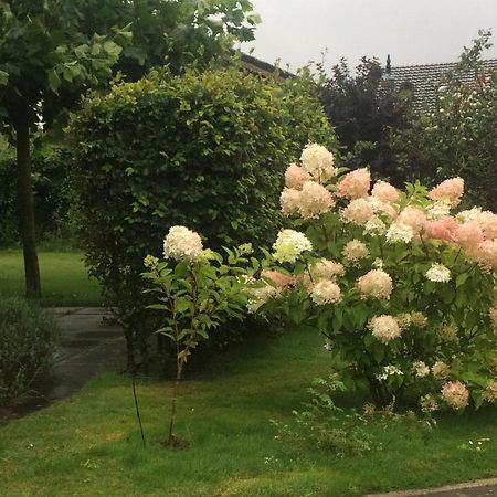 Bergen Holiday Home Schoorl Zewnętrze zdjęcie