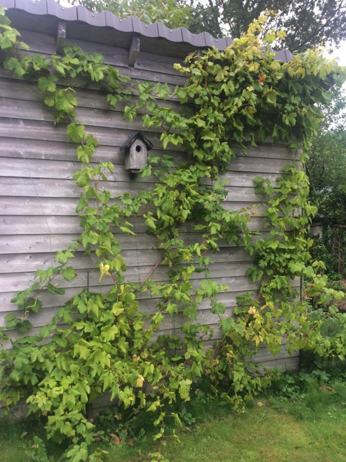 Bergen Holiday Home Schoorl Zewnętrze zdjęcie