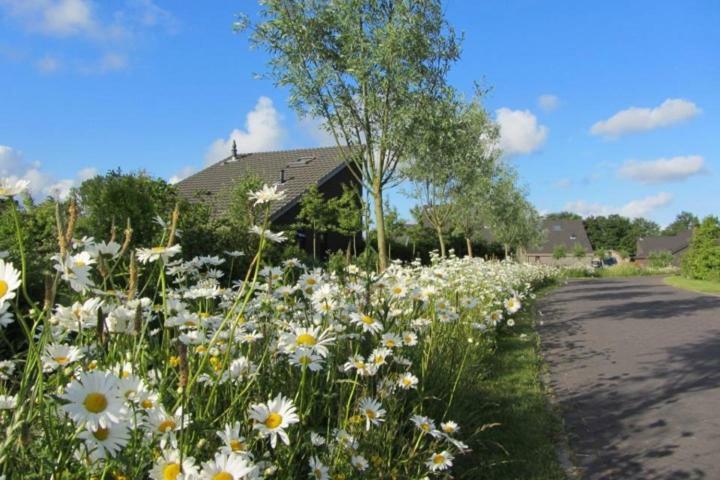 Bergen Holiday Home Schoorl Zewnętrze zdjęcie